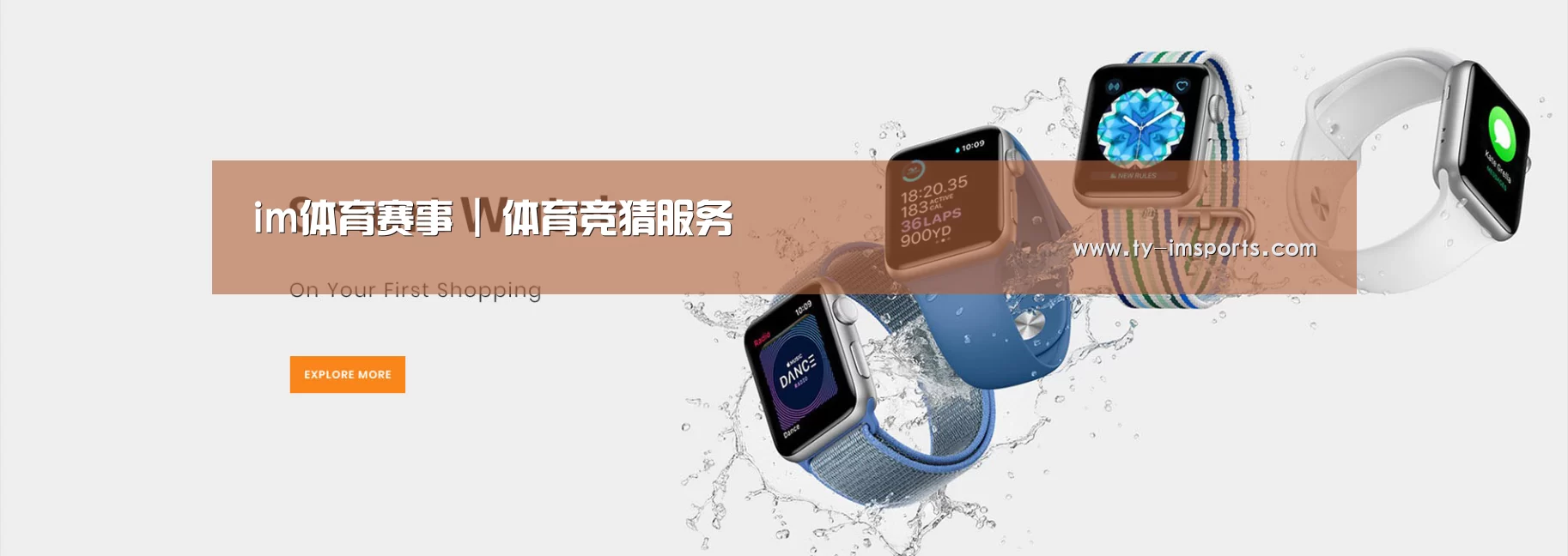 某某网络科技有限公司
