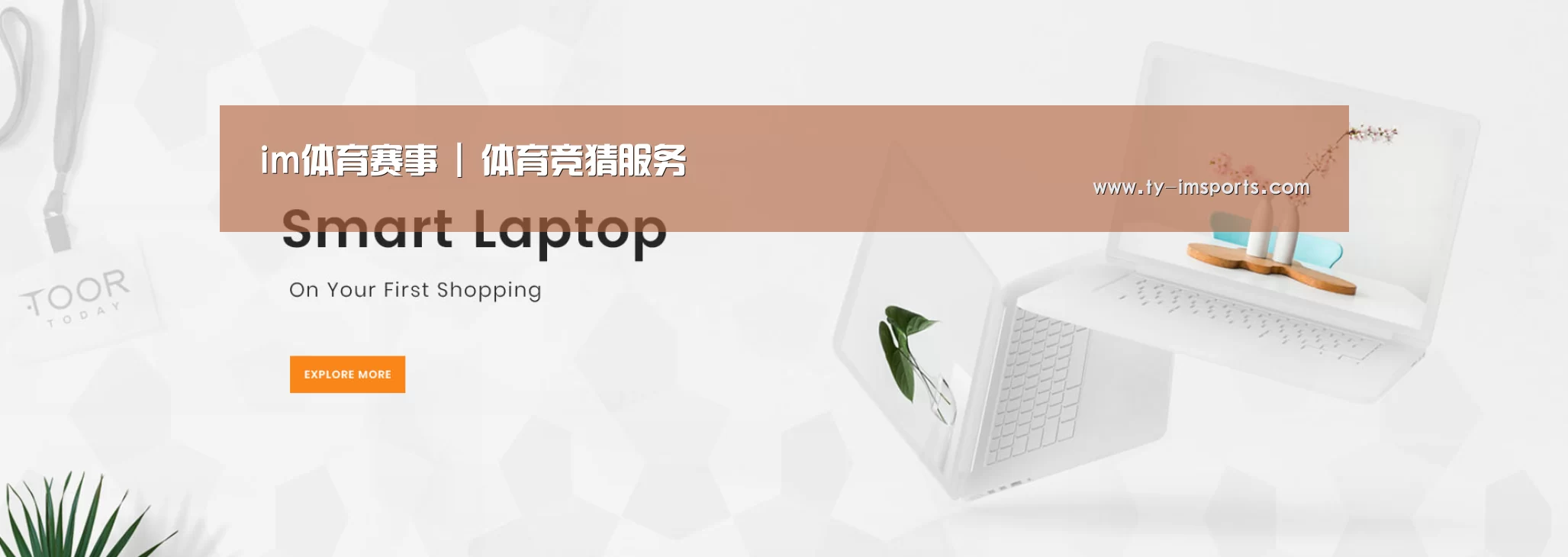某某网络科技有限公司