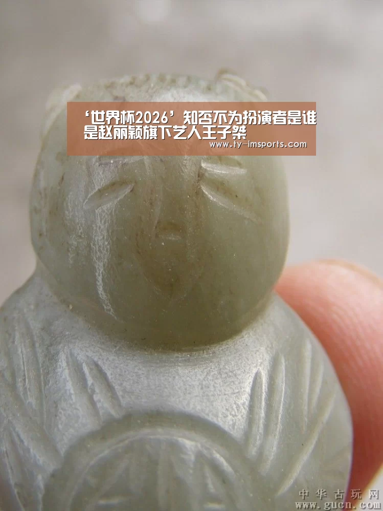 ‘世界杯2026’知否不为扮演者是谁 是赵丽颖旗下艺人王子桀(图2) im足球