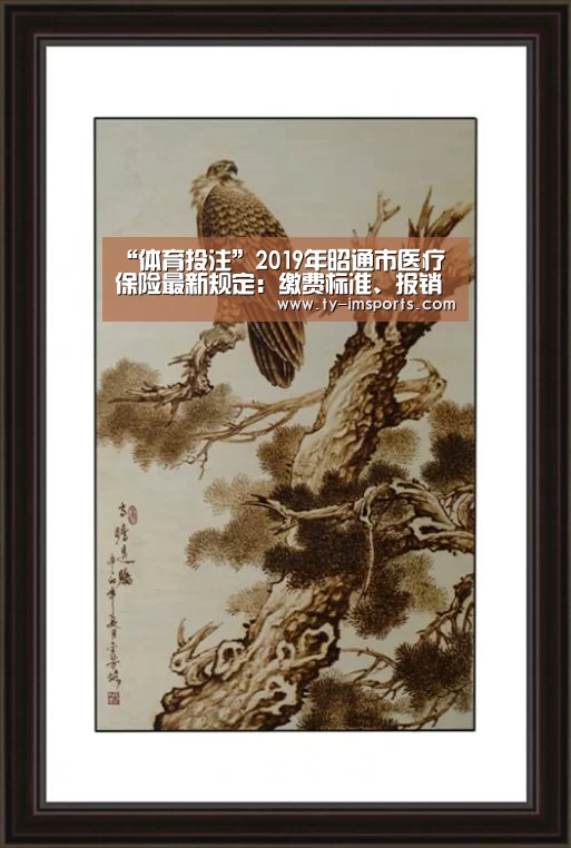 “体育投注”2019年昭通市医疗保险最新规定:缴费标准、报销范围、比例(图3) im足球