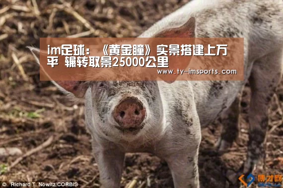 im足球:《黄金瞳》实景搭建上万平 辗转取景25000公里(图2) 体育投注
