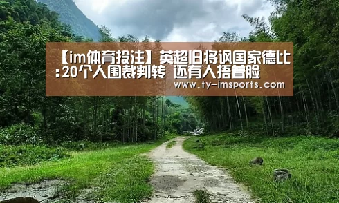 【im体育投注】英超旧将讽国家德比:20个人围裁判转 还有人捂着脸(图2) 体育投注